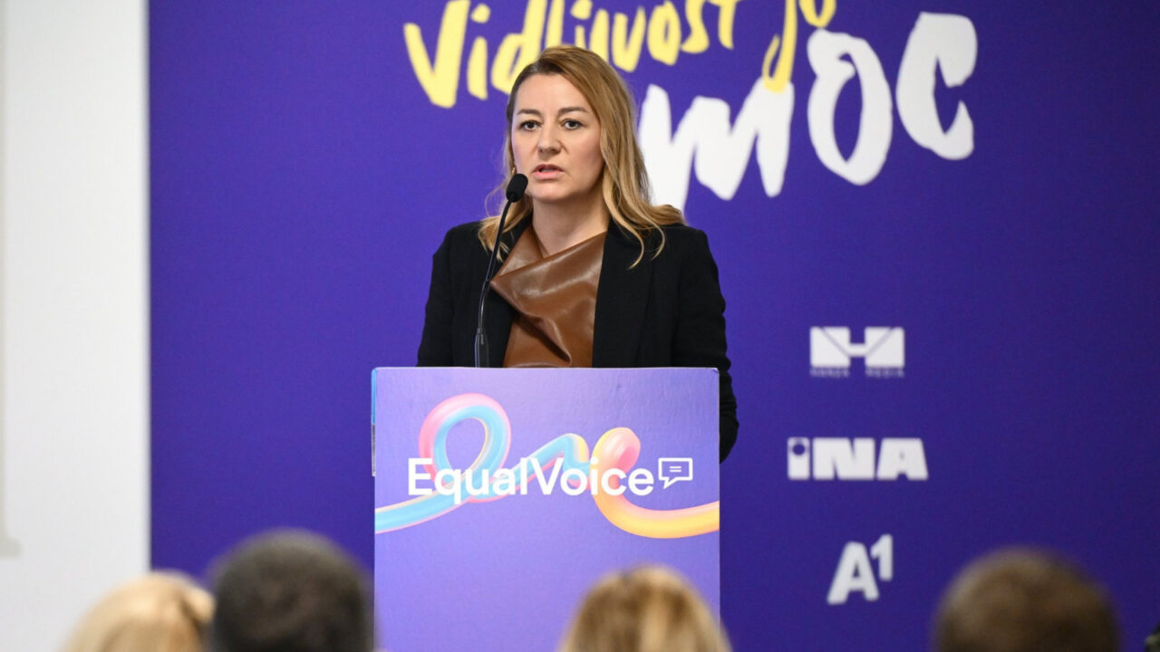 Bk equal konferencija25 131026 linkedin